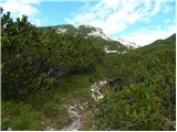 Planina Ravne - Velika Zelenica